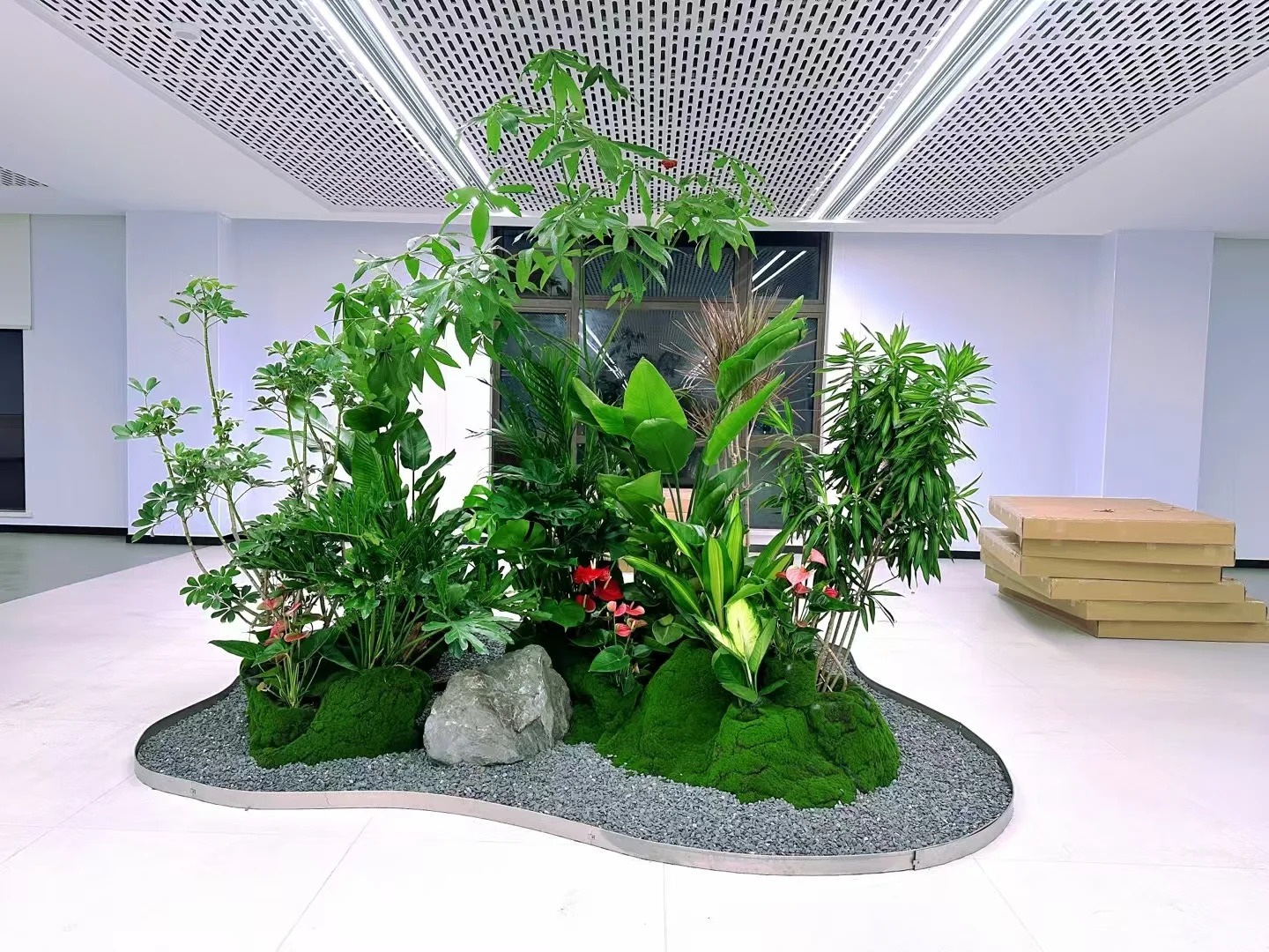 了解余姚绿植出租方案,畅享绿色生活新方式